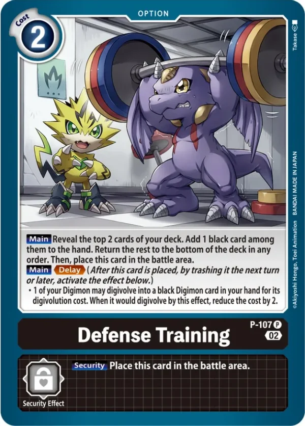 Defense Training - P-107 Box Topper