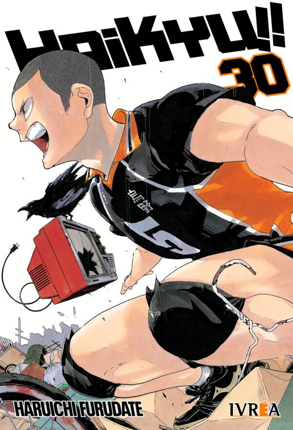 HAIKYU!! 30